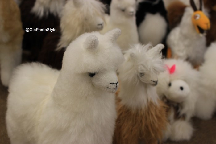 Ruraq Maki Hecho a mano - GioFashionPoint